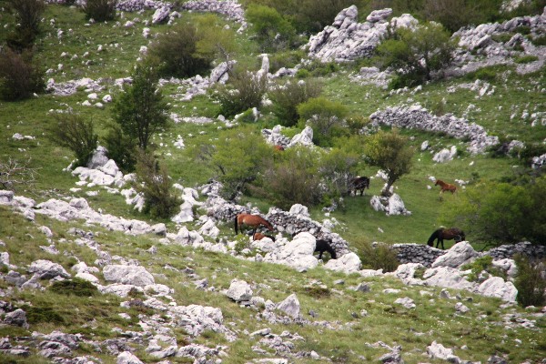 ../Images/2012.05.22 (133).jpg